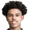 Shola Shoretire