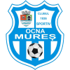 Ocna Mures