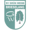 Grün-Weiß Brieselang F