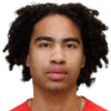 Jose Ribeiro