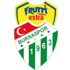 Bursa