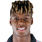 Williams N.