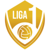 Liga 1