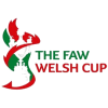 Walesi Kupa