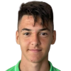 Nikola Georgiev