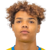 Theo Hansen
