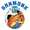 Olimpik Mytishchi