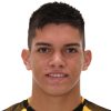 Anderson Leguizamon