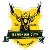 Berekum City