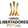 Pokal Libertadores