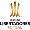 Copa Libertadores