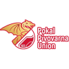 Pokal Slovenije