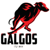 Galgos