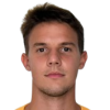 Karlo Ziger