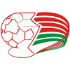 Hviterussland Cup