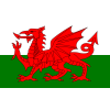 Gales Sub-19