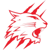 Swindon Wildcats