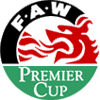 Piala Premier FAW