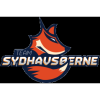 Sydhavsøerne
