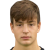 Vuk Borovic