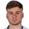 Max Ferrari