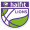 halfit Lions W team logo