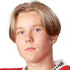 Hermanni Leppanen