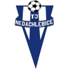 Nedachlebice