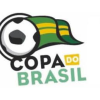 Кубок Бразилії