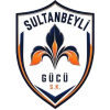 Sultanbeyli Gucu Ž