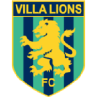 Aston Villa V-10 ソリッドウッド バイオリン ブラック Aston Villa V-10 ソリッドウッド バイオリン ブラック - メルカリ
