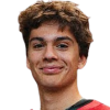 Callum Croskery