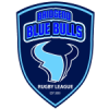Blue Bulls