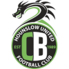 Hounslow United