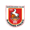 KK Slovenske Konjice