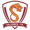 Valdres U19