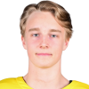 Theo Stockselius