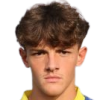 Fabian Hallidri