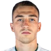 Niko Rak