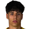 Mikail Akdemir