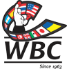 Peso Mosca Femenino WBC/WBA Titles