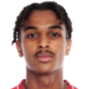 Yassine Ben Hamed