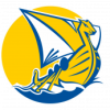 Vikings