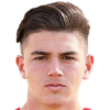 Nikolaos Gotzamanidis