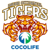 Davao Tigers