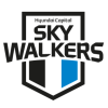Hyundai Skywalkers