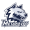 Metallurg Magnitogorsk W team logo