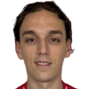 Karlo Speljak