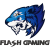 Flash Gaming