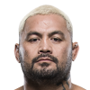 Mark Hunt